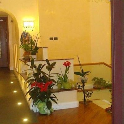 Hotel Demetra Capitolina Roma